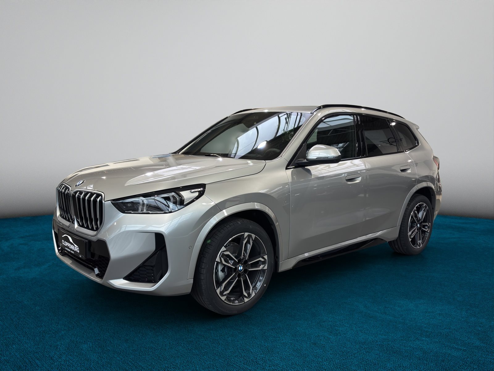 BMW X1 sDrive20d