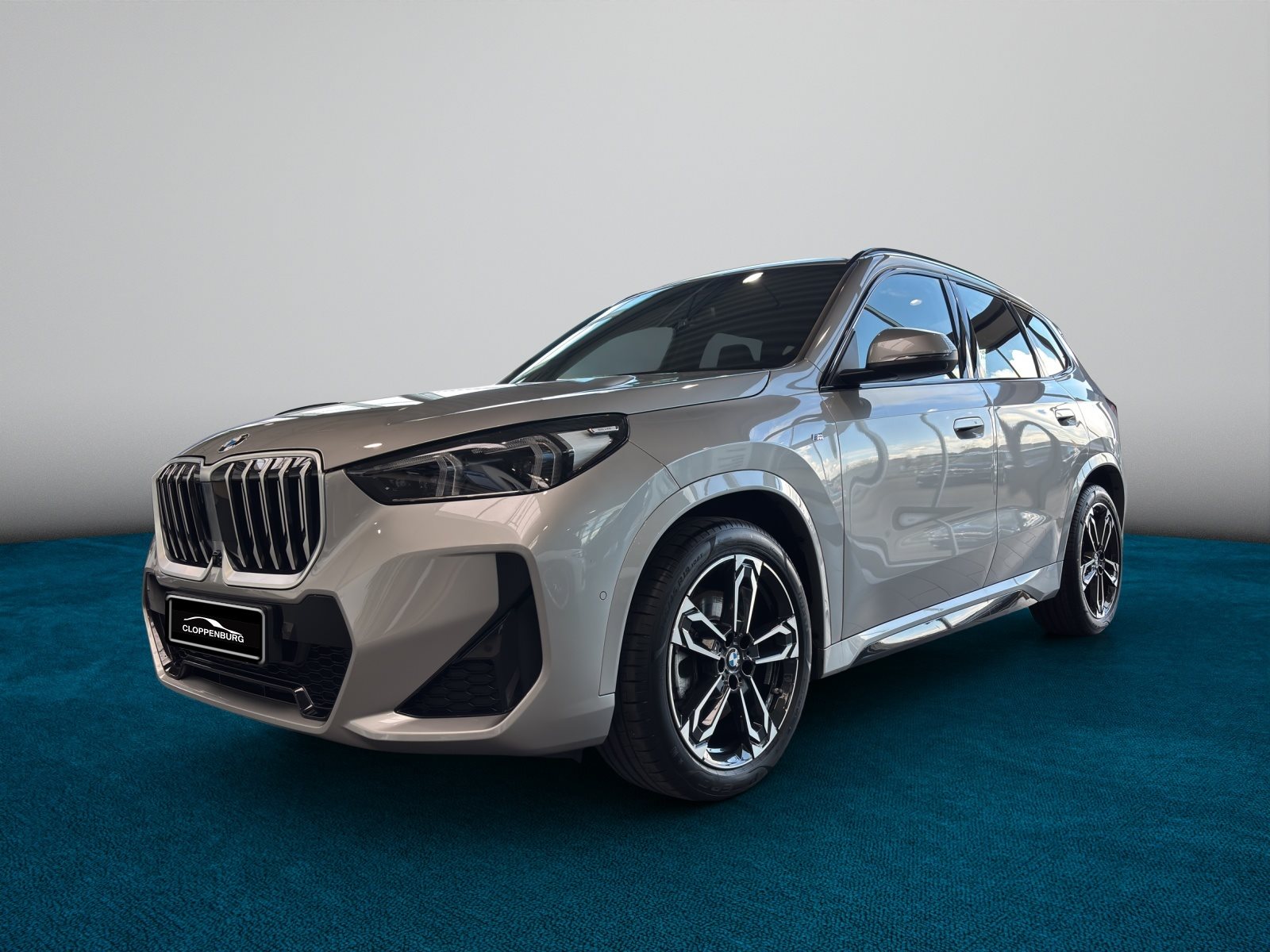 BMW X1 xDrive23d