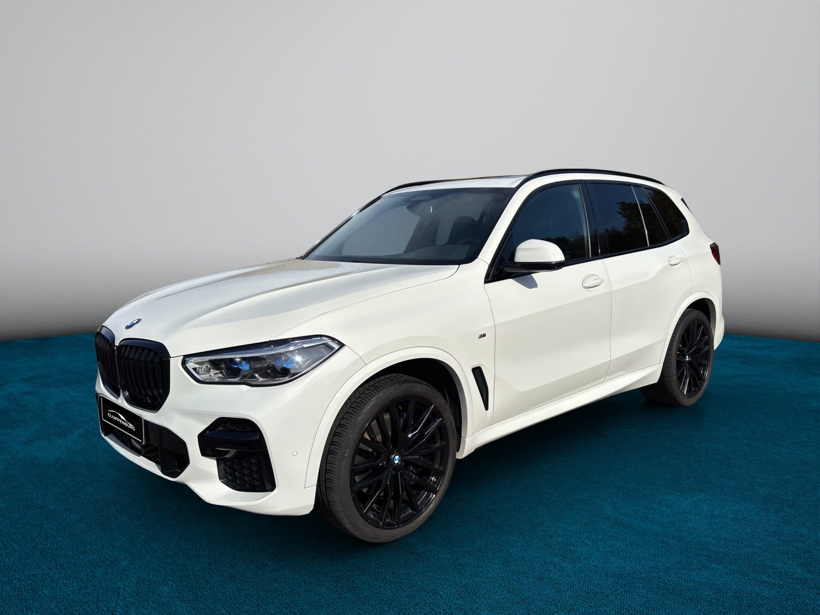 BMW X5 xDrive30d