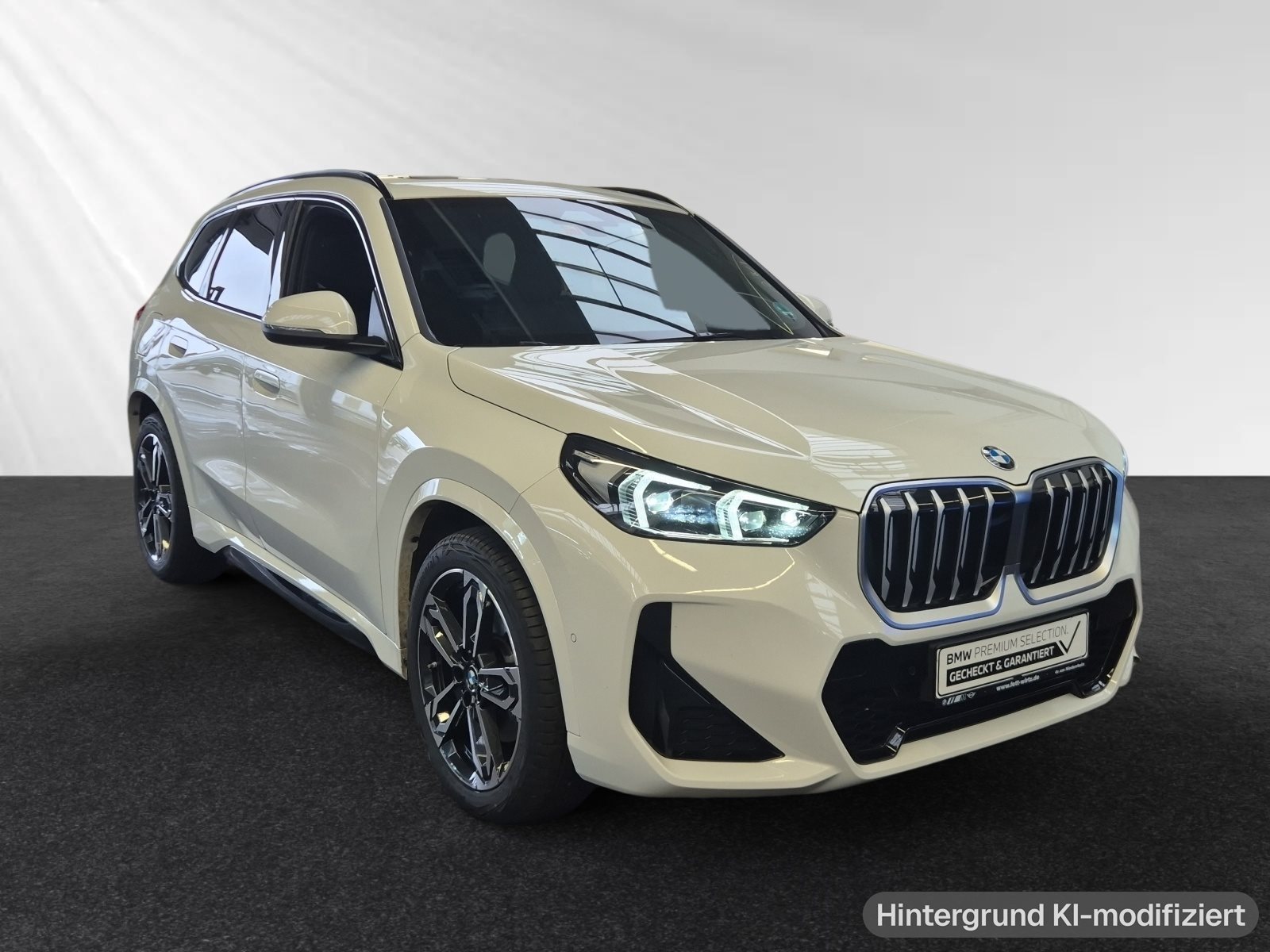 BMW X1 xDrive23d
