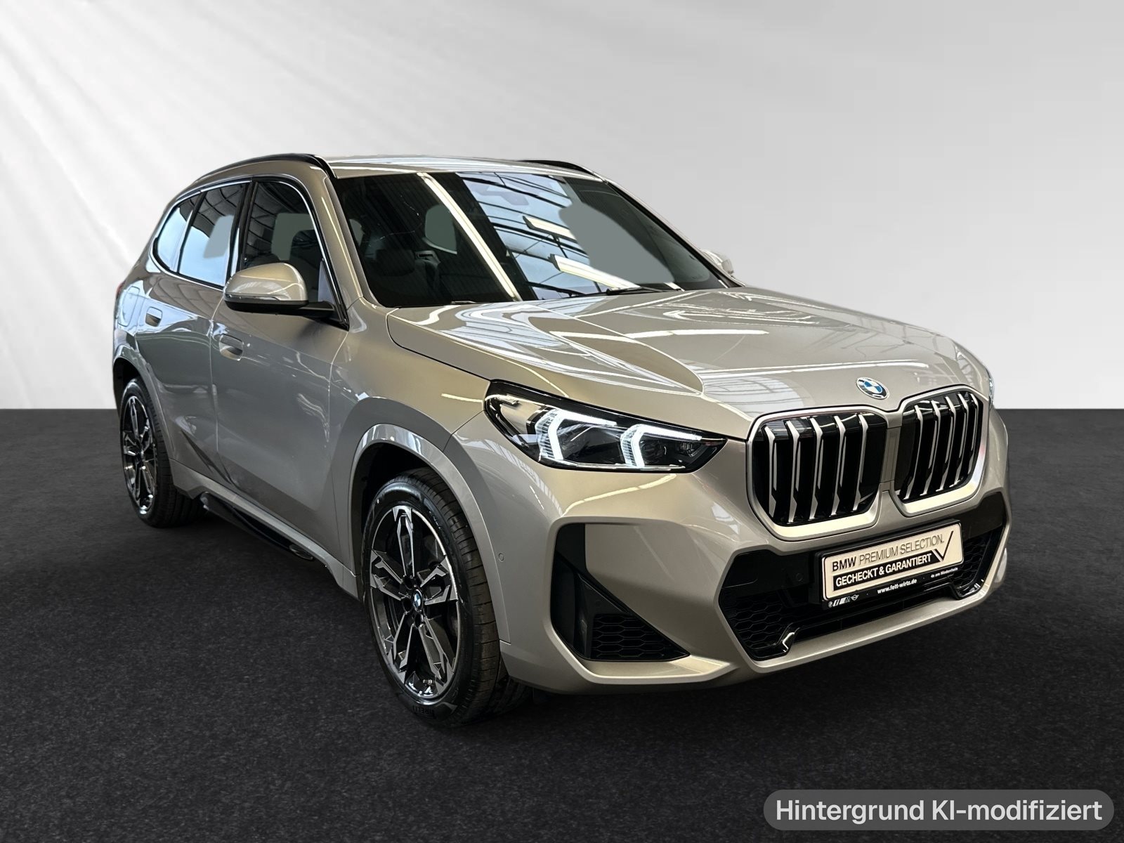 BMW X1 xDrive23i